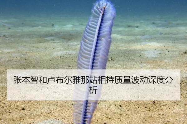 张本智和卢布尔雅那站相持质量波动深度分析
